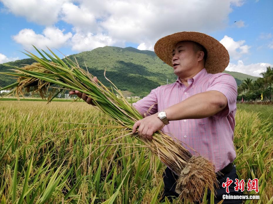 除了更好的產(chǎn)品體驗(yàn)，手機(jī)門店還能為年輕人帶來(lái)什么？