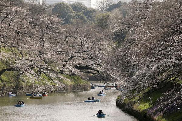 小紅書代寫產業鏈：編“種草”筆記 花錢上熱門推薦