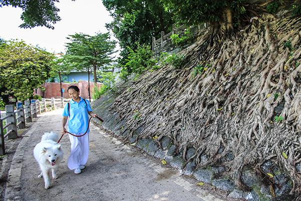 知否：來北歐看哪些世界遺產(chǎn)？