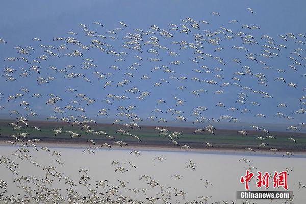 九價宮頸癌疫苗的非法商機(jī)：一針難求 政策紅利