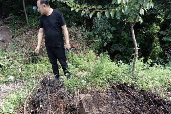 雍正殺子疑云：雍正為什么要將自己的親兒子弘時削籍害死？
