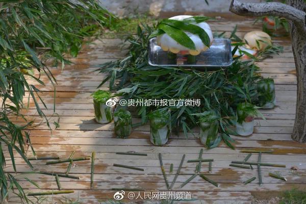 雍正殺子疑云：雍正為什么要將自己的親兒子弘時削籍害死？