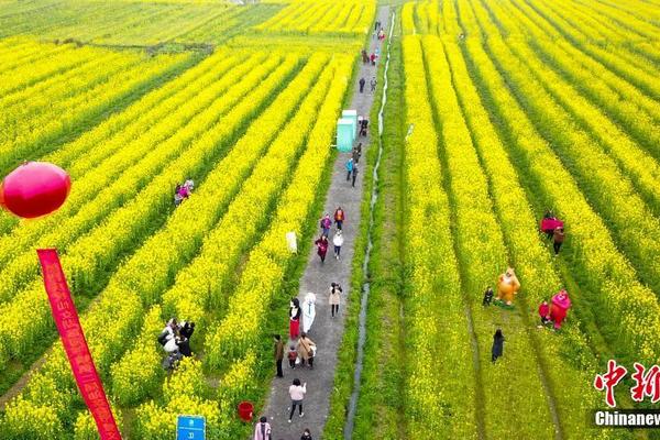 比亞迪S2正式下線，純電動小型SUV又多了一款新選擇