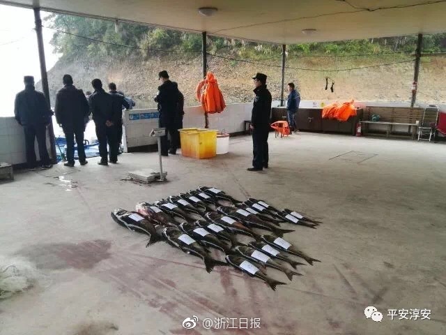 夏威夷“天堂階梯”：驚險(xiǎn)無比，曾因太危險(xiǎn)被政府關(guān)閉！
