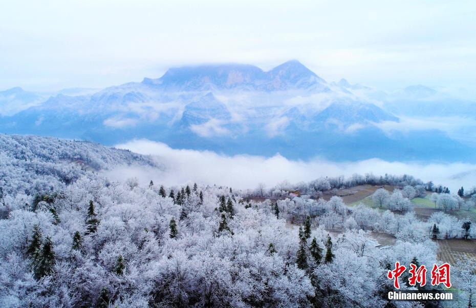北京7家醫(yī)院試點(diǎn)國(guó)際醫(yī)療 為外籍患者提供服務(wù)
