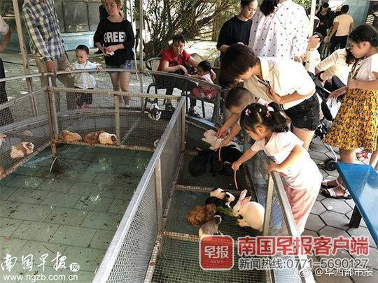 趙云為什么不受劉備重用？