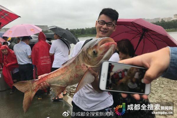 大熊貓丁丁如意起程赴俄羅斯