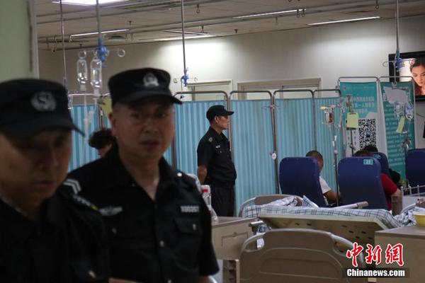 日本4只松鼠爭先出巢 腦袋填滿樹洞惹人喜愛