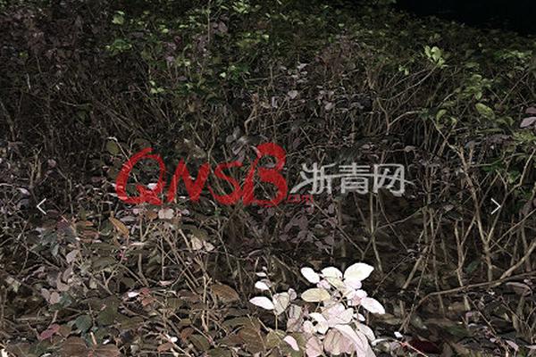 為了不被催婚，我給父親寫了封信