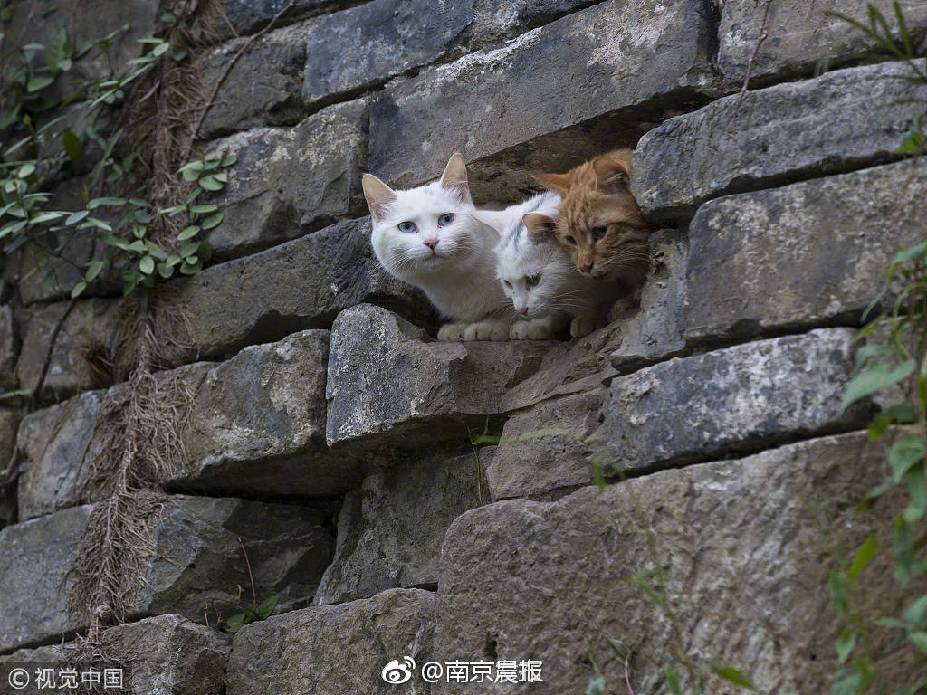 時間與空間的聯(lián)系何時能成為人類直覺的一部分？