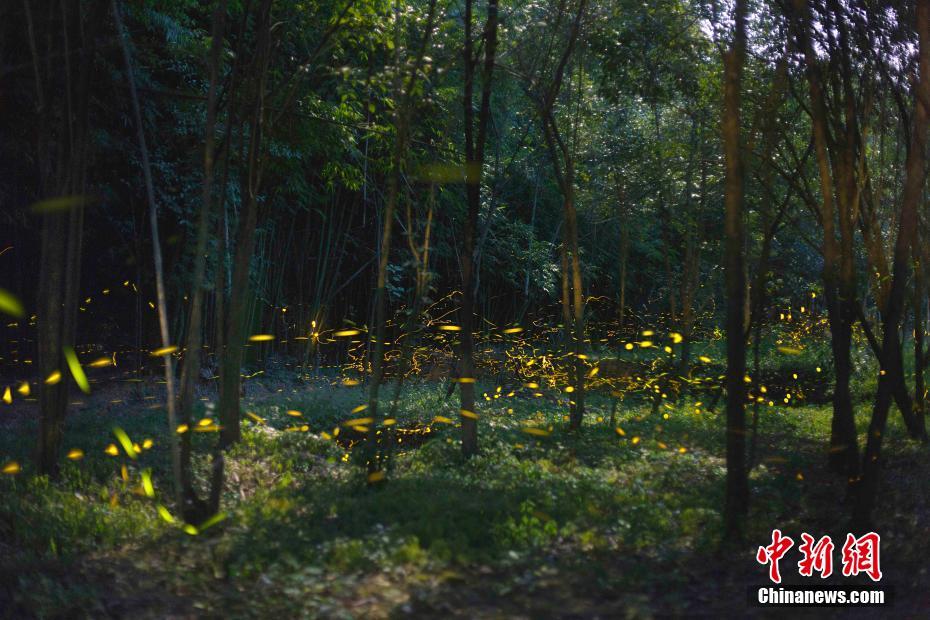 中國微波光子雷達成像達國際領(lǐng)先 決定未來戰(zhàn)場優(yōu)勢