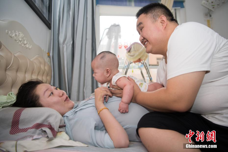 外媒：印度尼西亞總統佐科已決定遷都至爪哇島