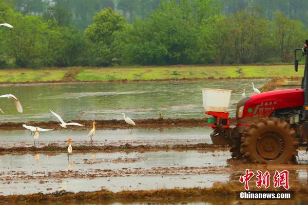 伊朗外長(zhǎng)：伊朗考慮退出《不擴(kuò)散核武器條約》