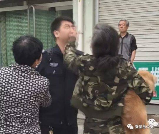 重慶參與“一帶一路”建設沿