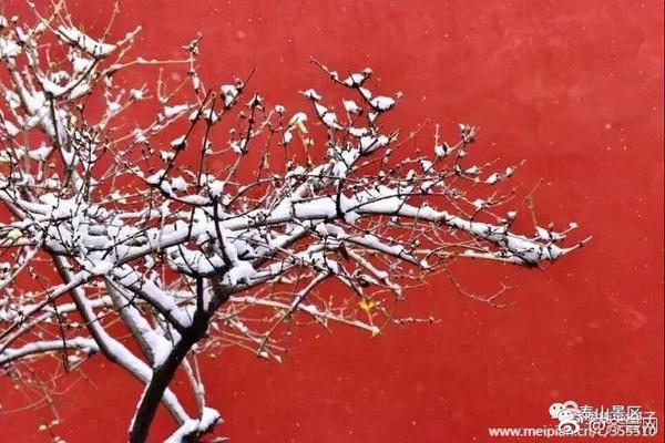 利比亞法院審判IS成員時遭襲 4名安全人員死亡