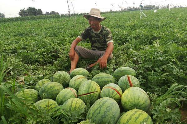 沈陽故宮掌門人李聲能稱最難忘那一天