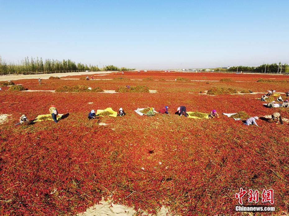 花費1000元買一把鍵盤是什么心理？