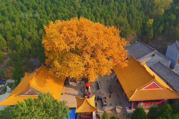 曝足協(xié)特意詢問朱炯所罵是誰 申鑫回應(yīng)因?qū)η騿T態(tài)度不滿