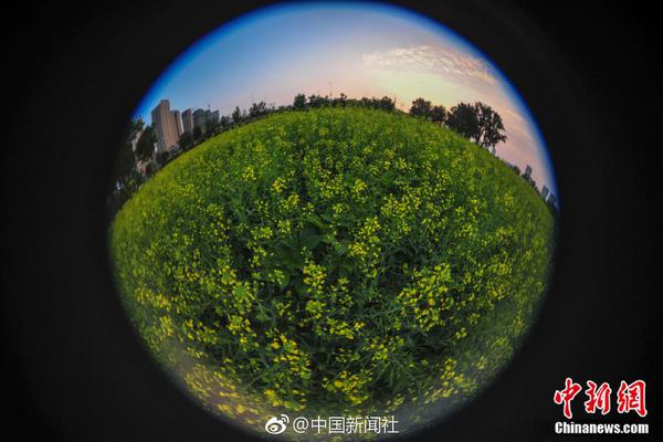 飲食應少糖多酸，保護血管效果明顯