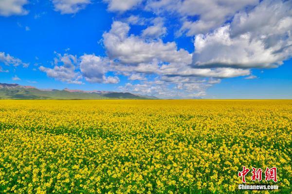 她被男私生飯跟蹤5年，每次回頭都能看到他的人影…