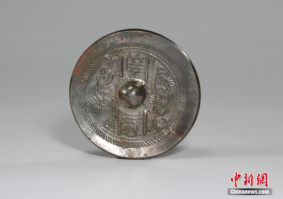 貓媽媽好心收養失去母親小松鼠：相互依偎非常親昵