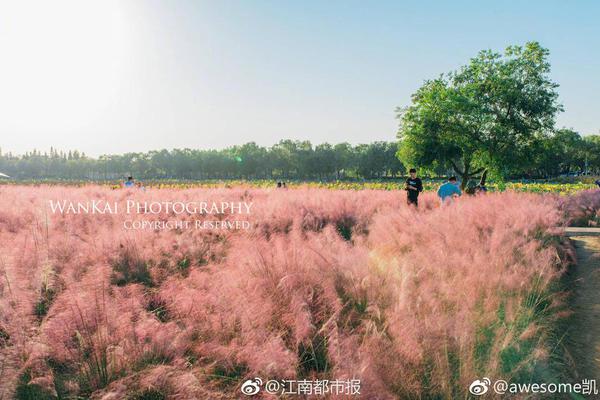 奚夢瑤發(fā)文否認(rèn)是竇驍前女友：同事關(guān)系