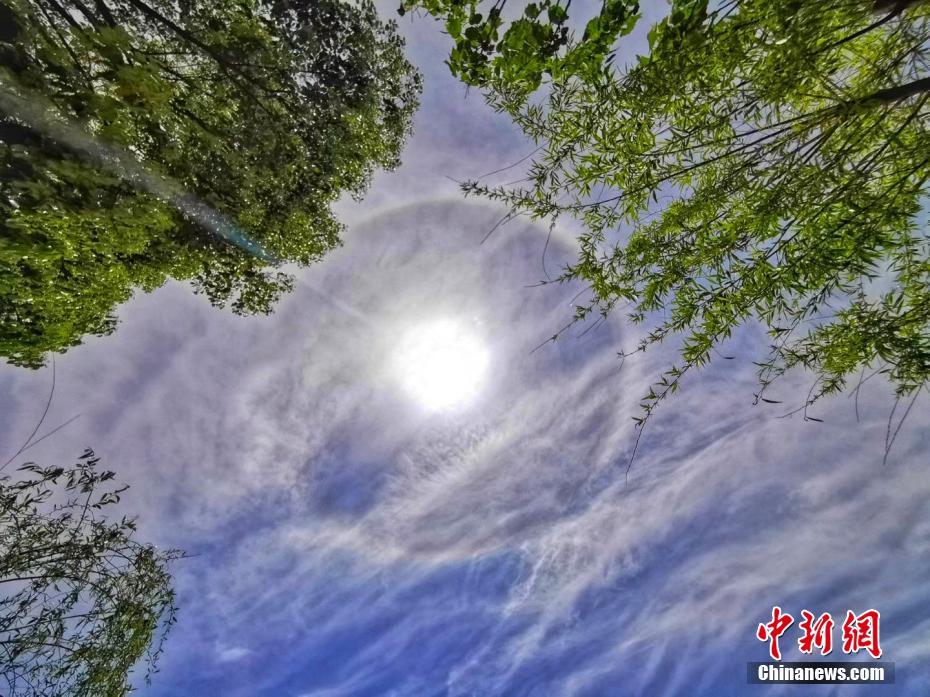王思聰緋聞女友周潔瓊素顏現身 見粉絲露笑