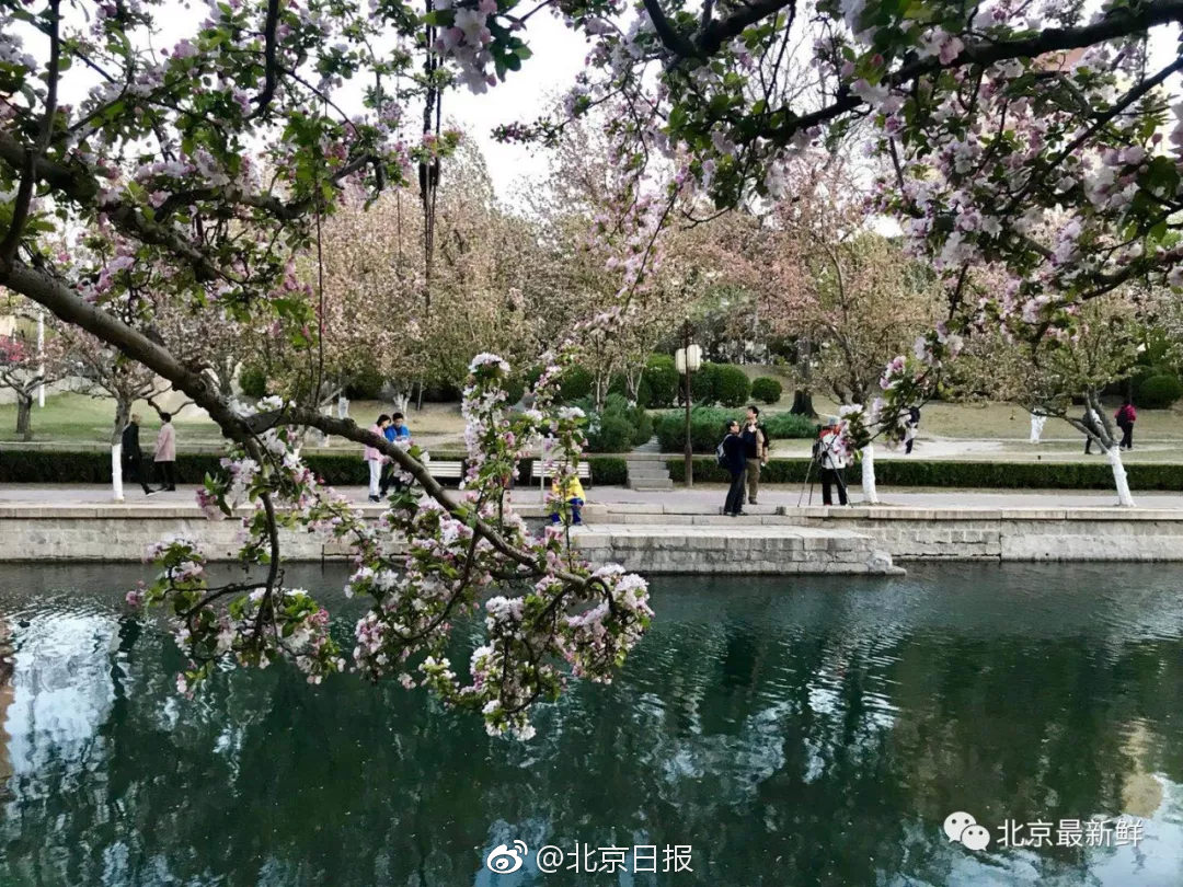 火車時速僅有30公里，柬埔寨首相求助中國