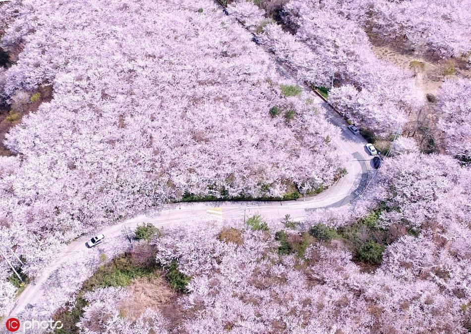 哪個外賣App更省錢？我辦了會員后 發(fā)現(xiàn)這些套路