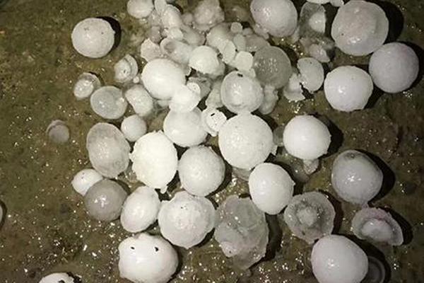 特朗普曬與安倍打球合影 兩年內第四次一同打高爾夫