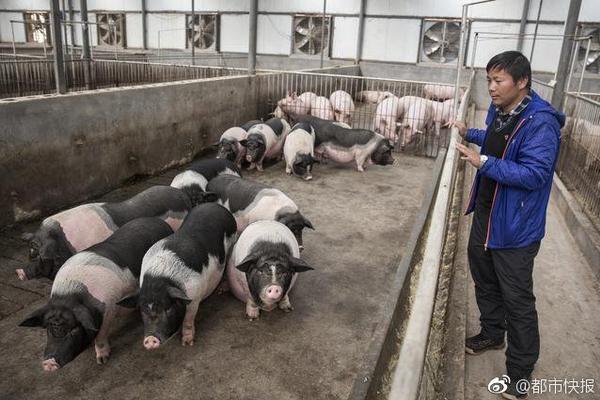俄官員:IS等組織組建黑客部隊 世界面臨威脅