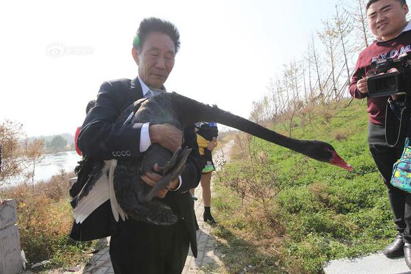 俄官員:IS等組織組建黑客部隊 世界面臨威脅