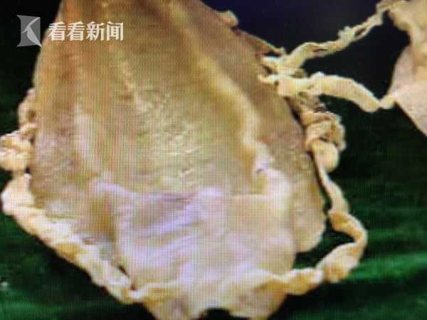 孫繼海:在中國踢球心很累 足球沒站起來卻先富起來