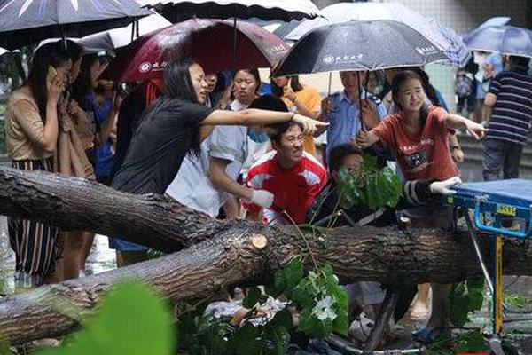 美議員：特朗普與利比亞國民軍司令的通話引起地區(qū)混亂