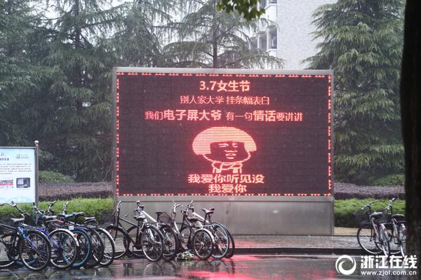 選公辦校還是國際校？