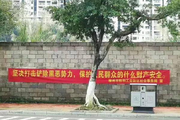 蔡依林接陌生來電被問是否單身 回應后竟被掛斷