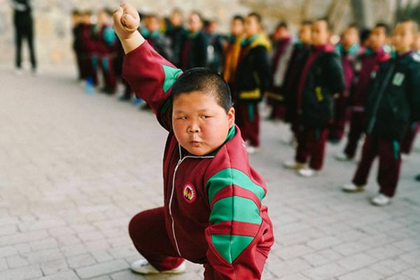 澳洲一大樹“哭泣”引百人膜拜 水務公司：水管...