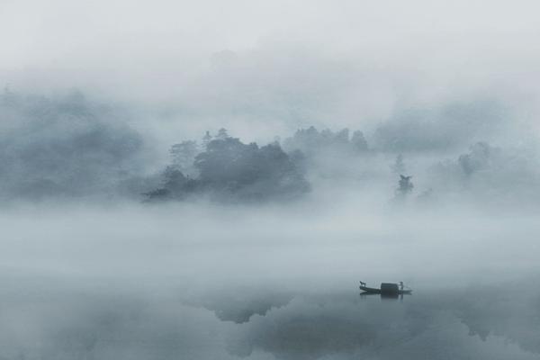 澳洲一大樹“哭泣”引百人膜拜 水務公司：水管...