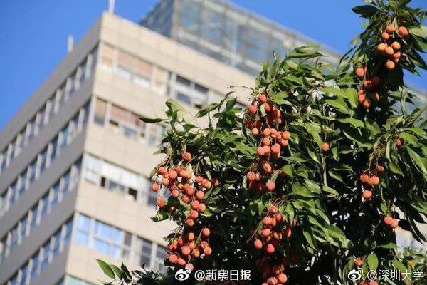 中國制造 | 貴州這座橋的施工難度超乎你想象