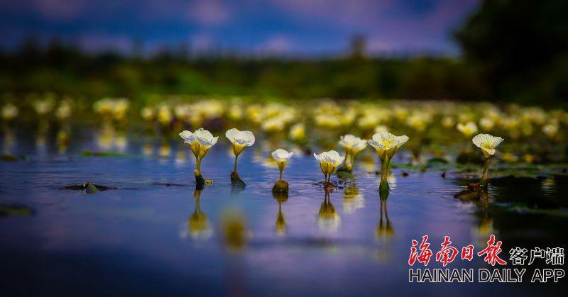 法海寺藏經閣正式開放 立體重現明代壁畫