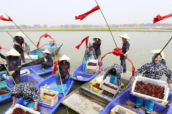 百億營收國企廣物控股將和商貿(mào)控股合并，曾被巡視組點名整改