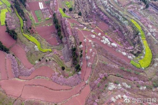 百億營收國企廣物控股將和商貿(mào)控股合并，曾被巡視組點名整改