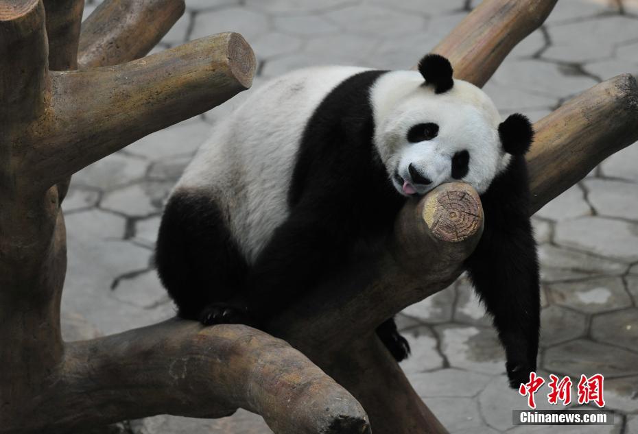 戒賭吧老哥們，后來都怎樣了
