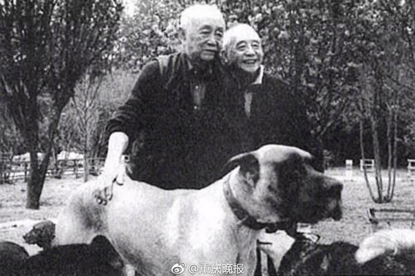 優(yōu)秀應(yīng)屆畢業(yè)生都去了什么行業(yè)？