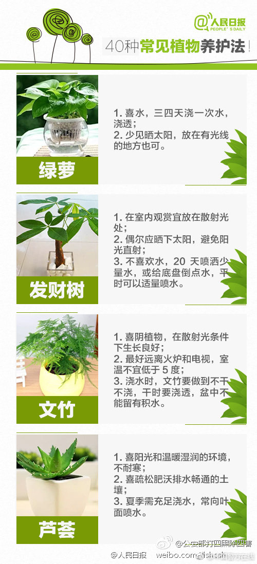配置厚道 起亞全新K3售11萬起?