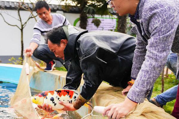 4月樓市成交穩中有落，土地供應同環比走高