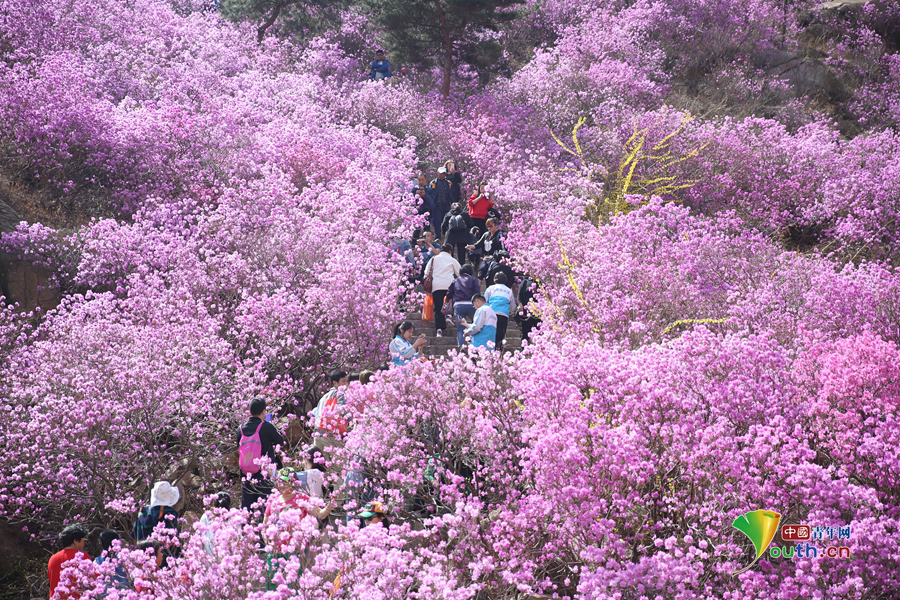 又見“股神”巴菲特：中國投資人酒會火熱報名中