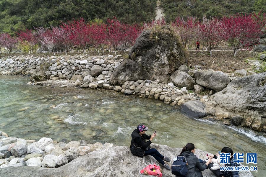 如果亞歷山大東征到了中國，能打得過虎狼之師的秦軍嗎？