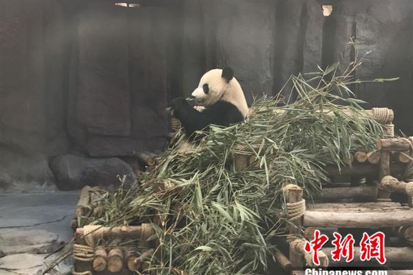 日本明仁天皇退位在即 大批民眾參觀皇宮