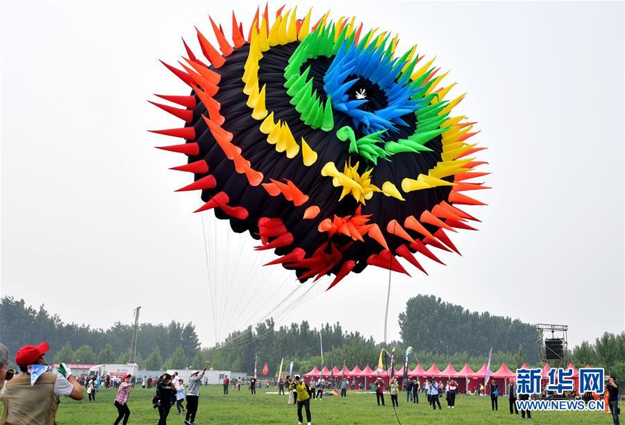 王曼昱/孫穎莎4-2逆轉(zhuǎn)伊藤女雙奪冠 國(guó)乒包攬五金